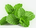 Fresh mint