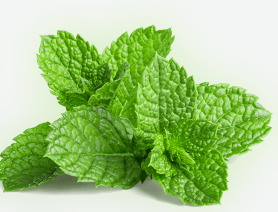 Fresh mint