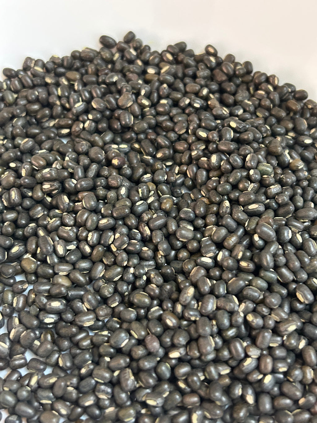 URAD DAL BLACK WHOLE (1kil)