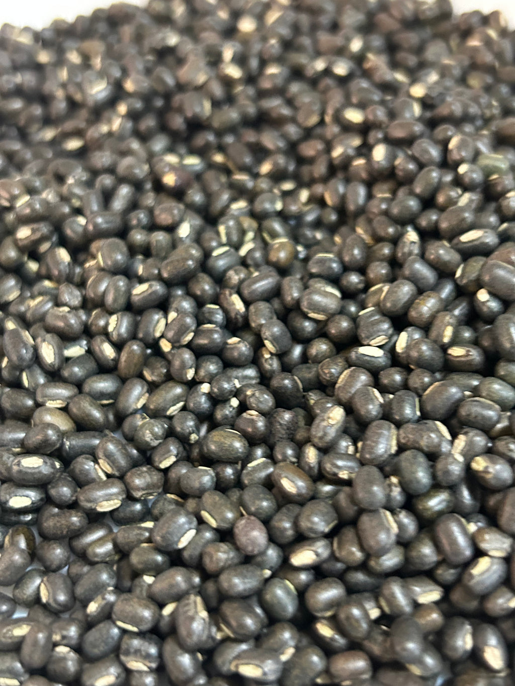 URAD DAL BLACK WHOLE (1kil)