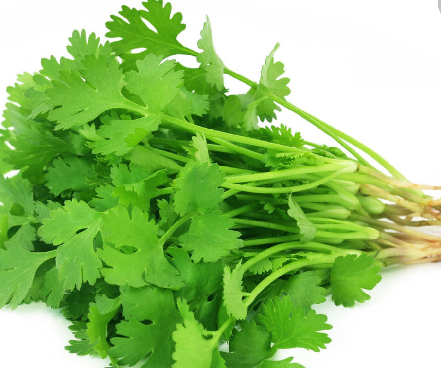 Coriander leafs