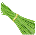 Drum stick
