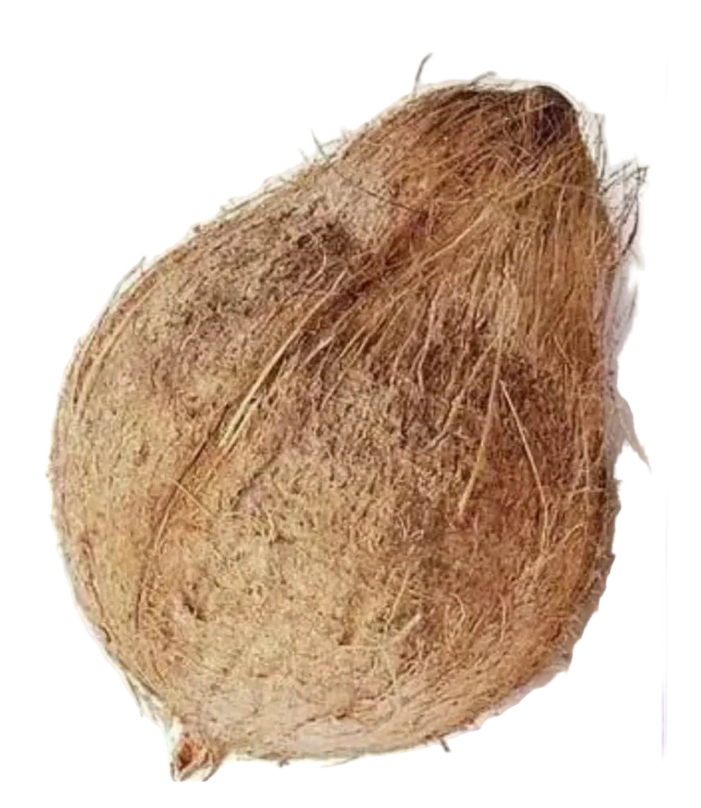 Fresh coconut