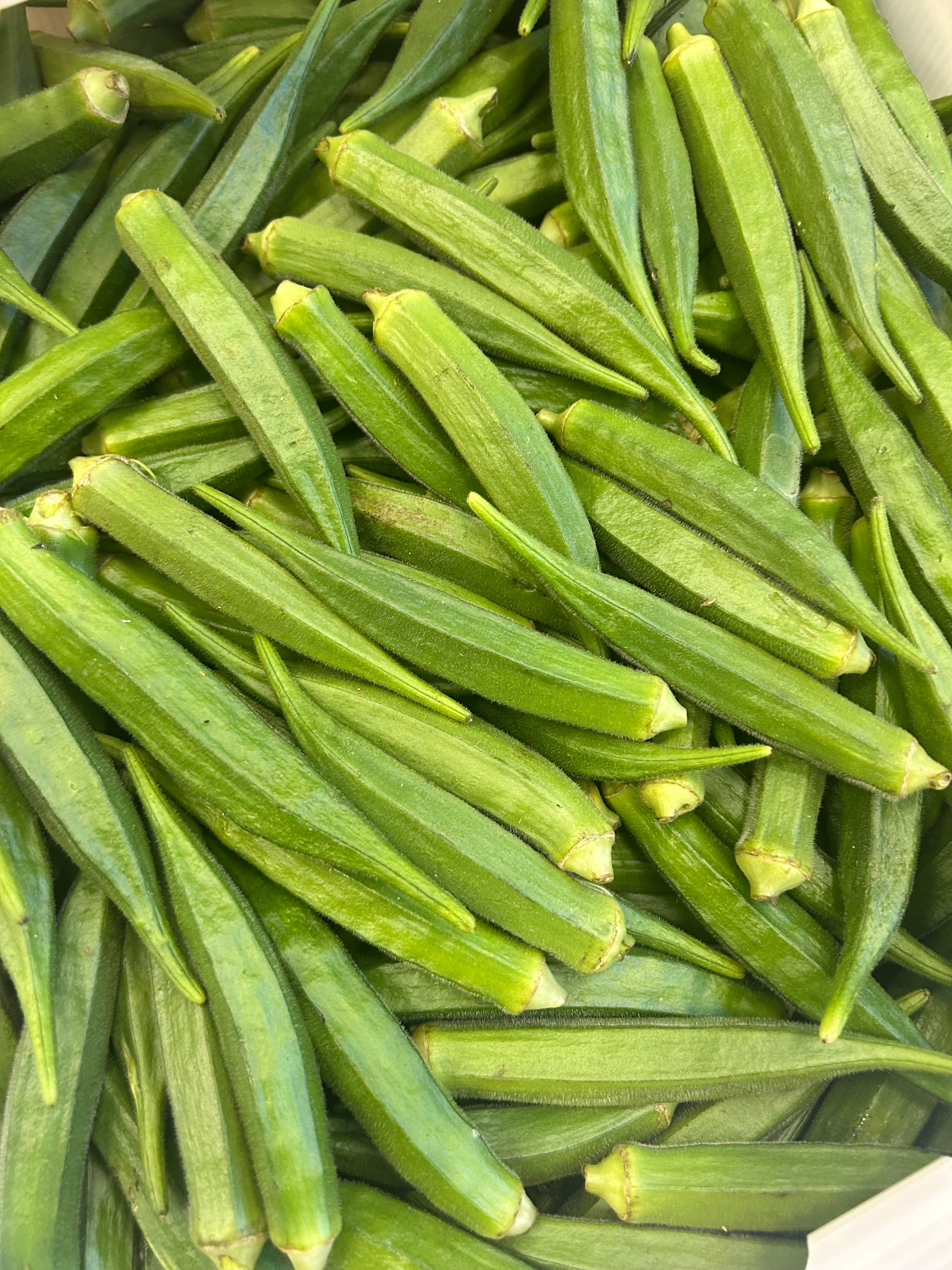 Okra (ladies finger) product of India