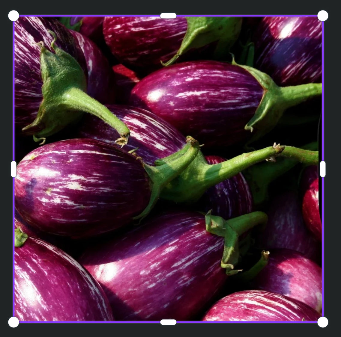 Indian brinjal 200gms